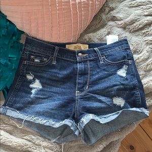 Hollister high rise short short